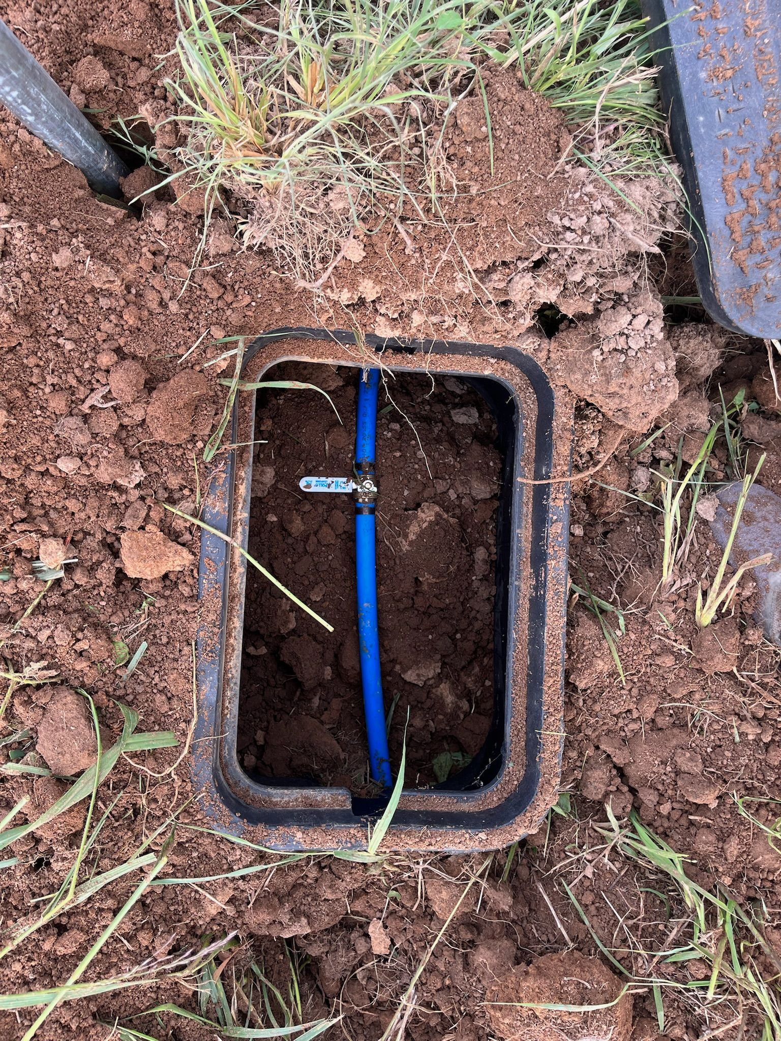 A blue pipe is coming out of a box in the dirt.