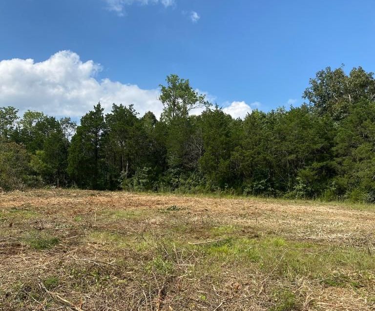 A field with trees in the background and a blue sky