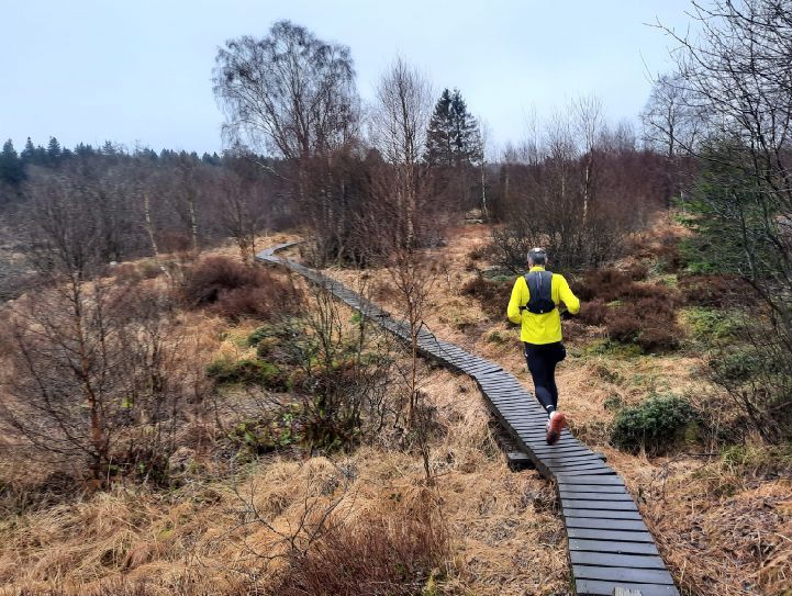 Hardloper op houten vlonderpad door een moerassig landschap.