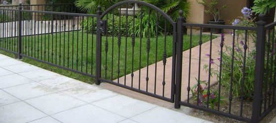 Black metal fence with arched gate and a small path. Green grass and flowers visible.