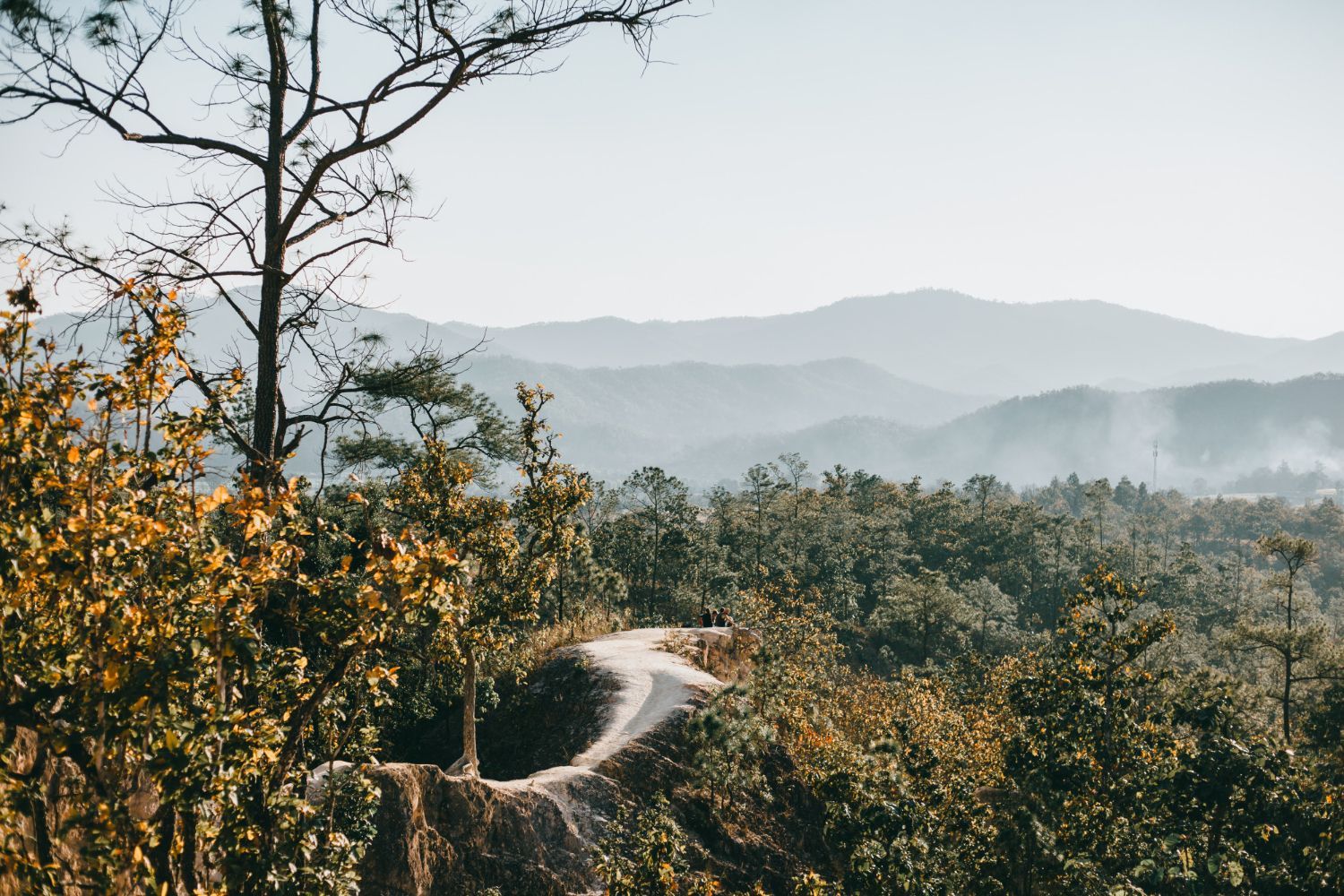 Winding road through lush green and golden trees, leading to distant hazy mountains under a clear sky.