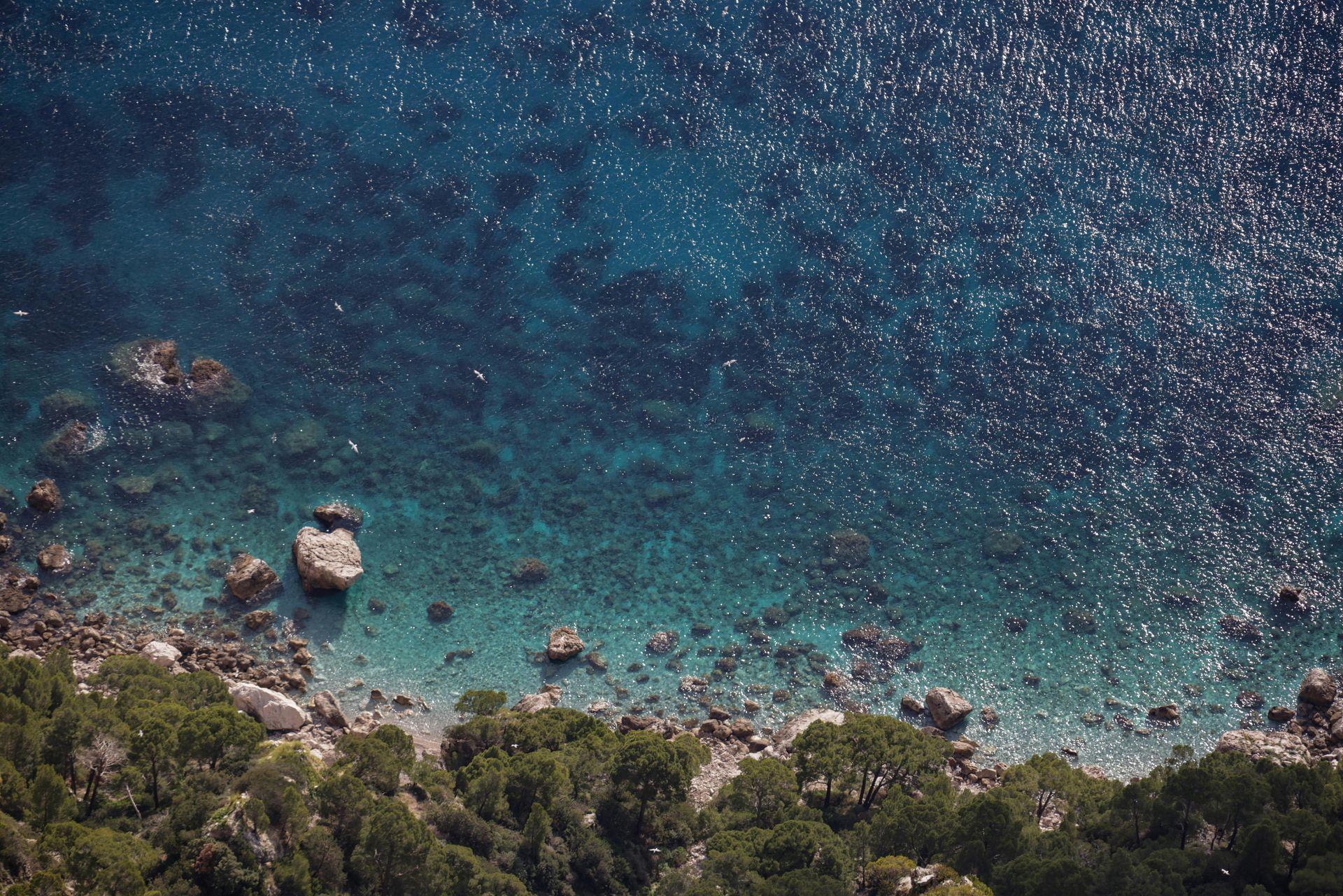 Turquoise water meets a rocky shoreline with green trees; sparkling sunlight on the water.