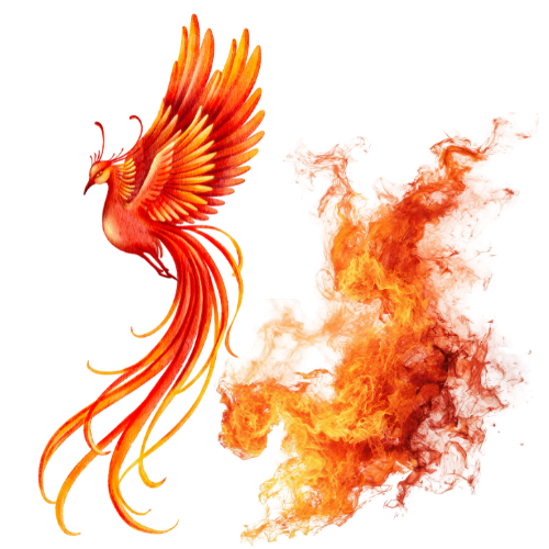 Phoenix Rising Phoenix Rising