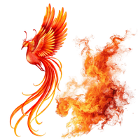Phoenix Rising Phoenix Rising