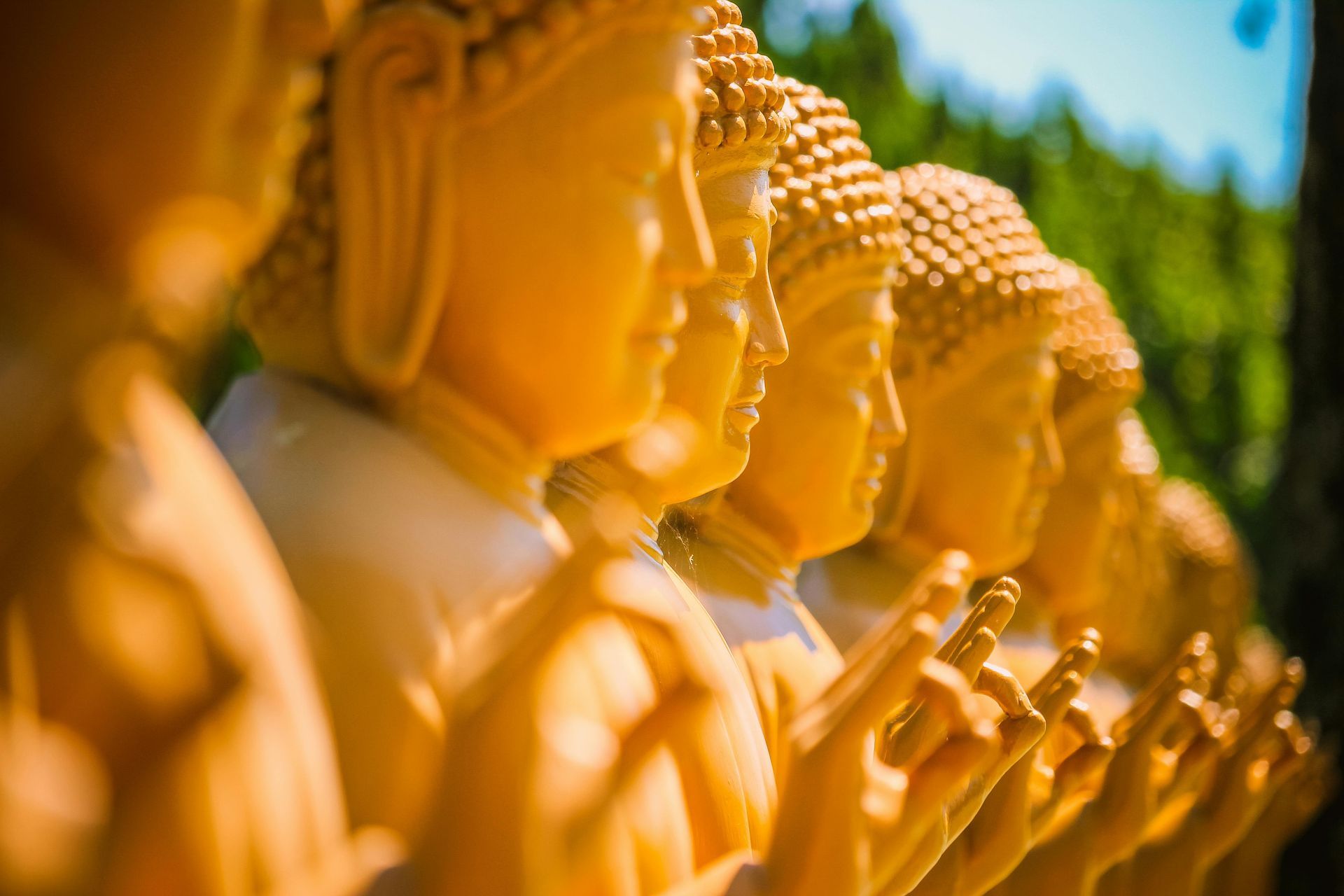 Golden Buddha Mudra Golden Buddha Mudra