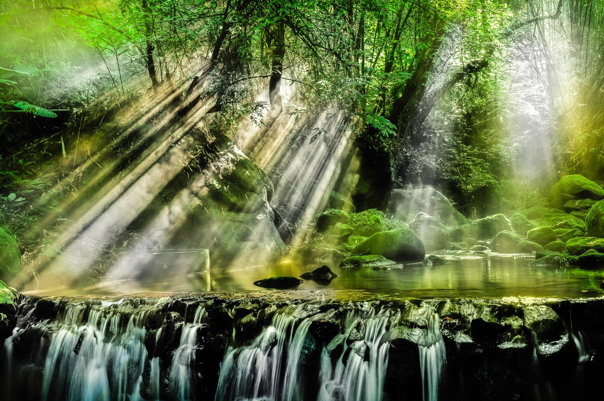Golden light through woodland stream Golden light through woodland stream