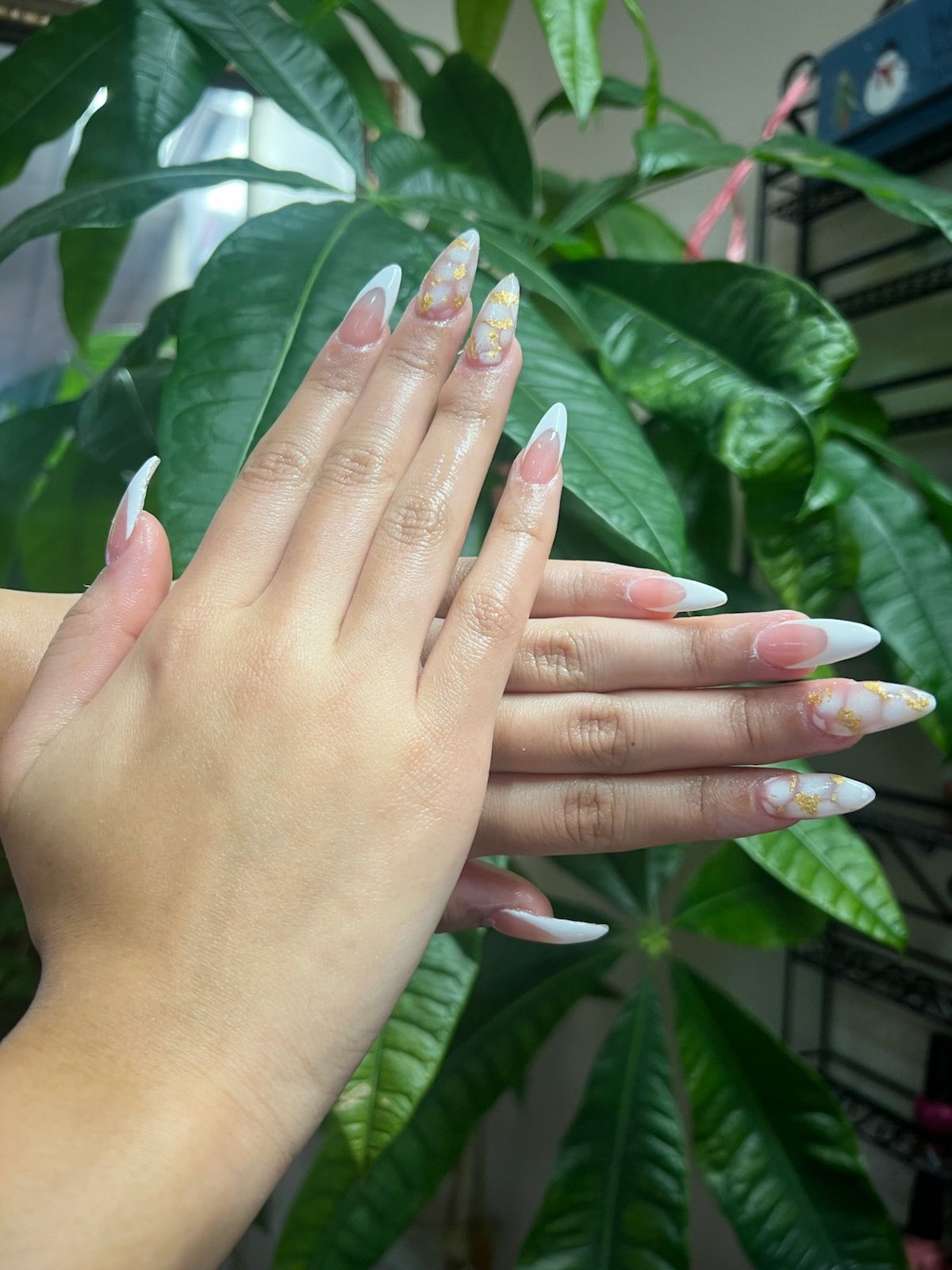 Two hands posed with long, pointed nails featuring white tips and marble-like gold leaf accents against a leafy plant.