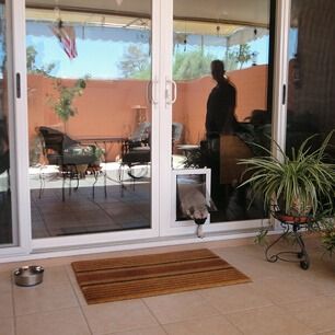 Cat entering through a pet door in glass patio doors, with a potted plant and mat on the patio