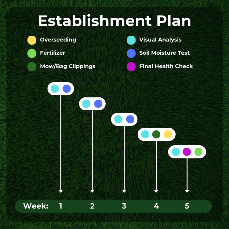 A graph showing the establishment plan for a lawn