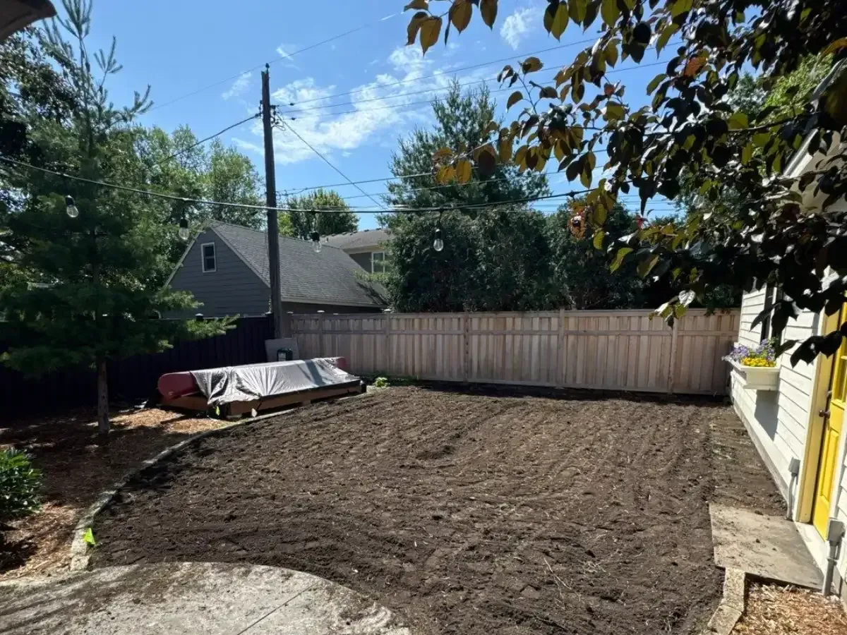 before sod