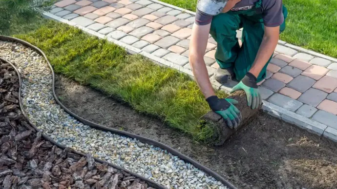 A man is laying a roll of turf in a garden.