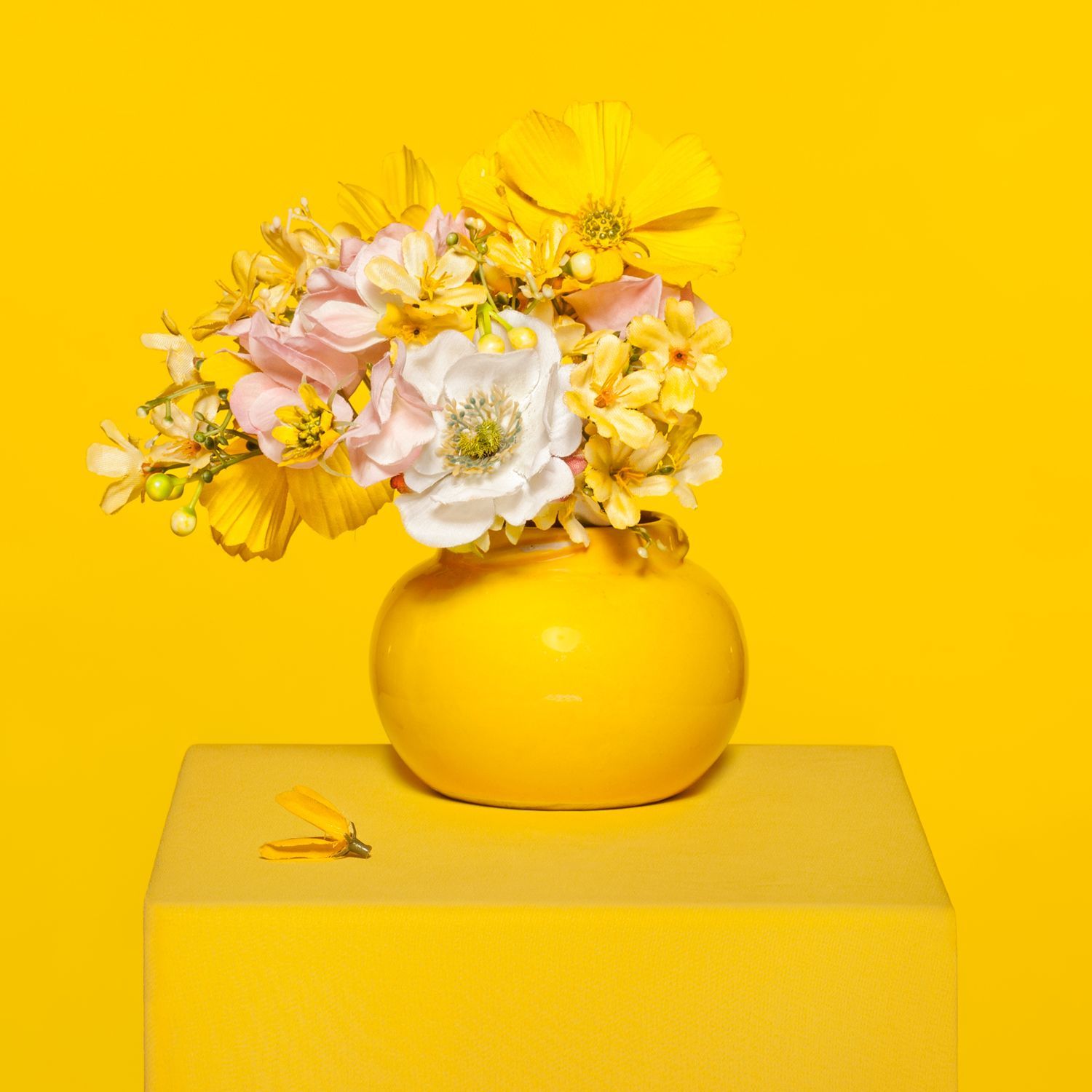 © Yellow Yellow, Jacqueline Louter, 2024