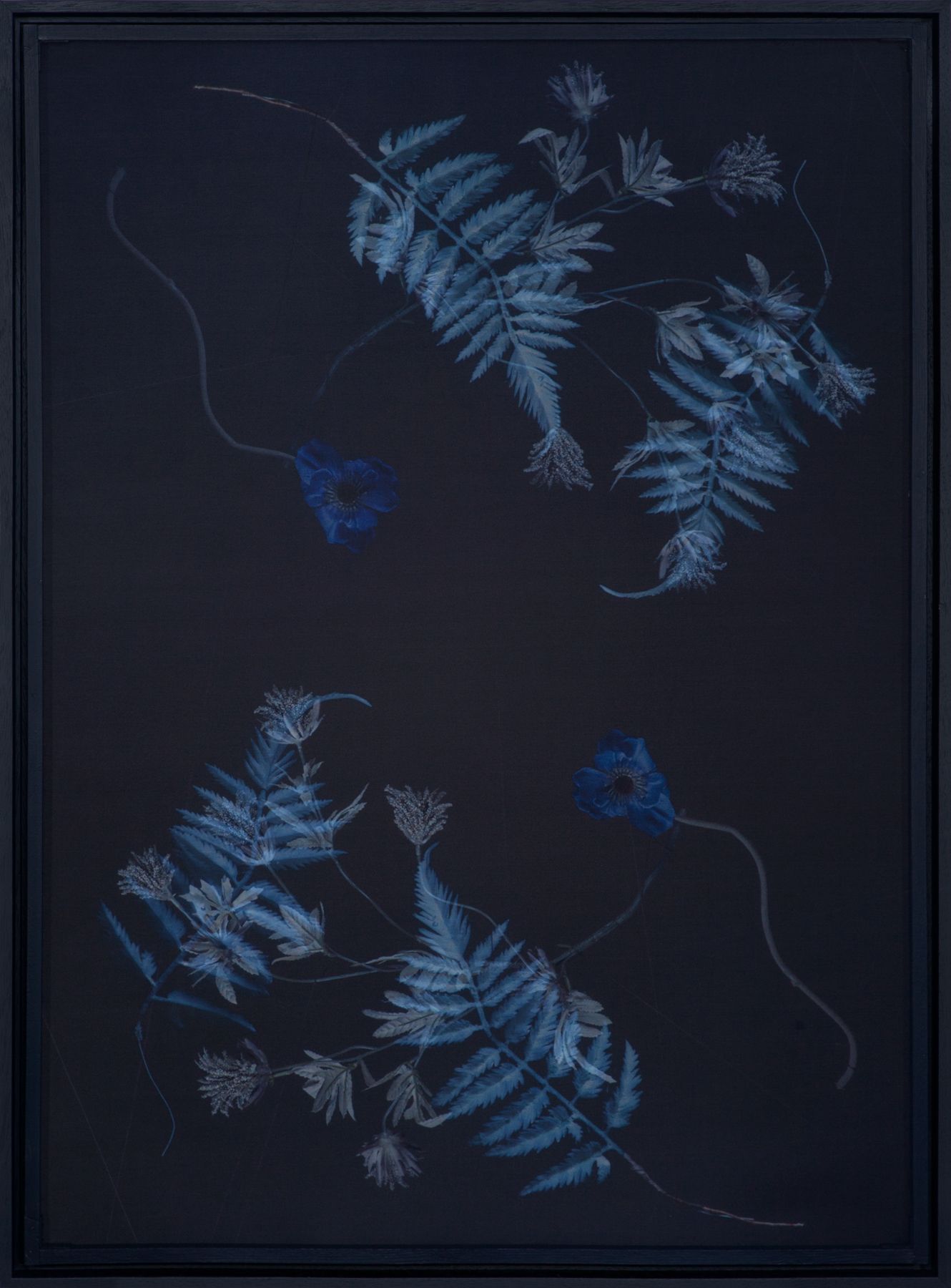Rêve Blue Rêve Blue