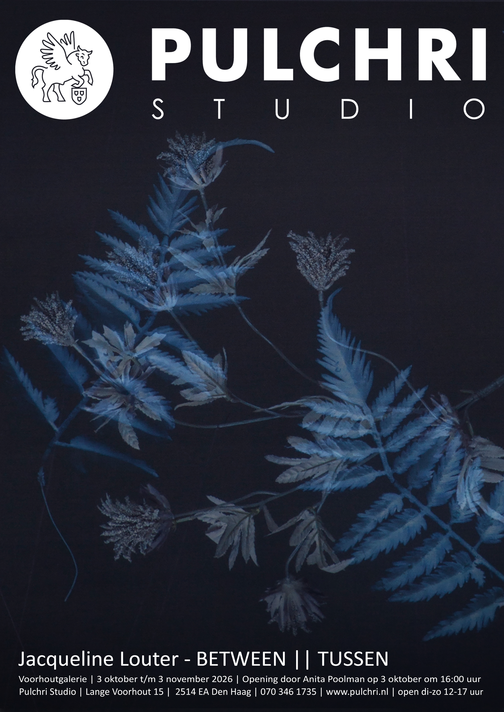 Eerste solo expositie 'BETWEEN' van Jacqueline Louter-Hoos bij Pulchri Studio.
