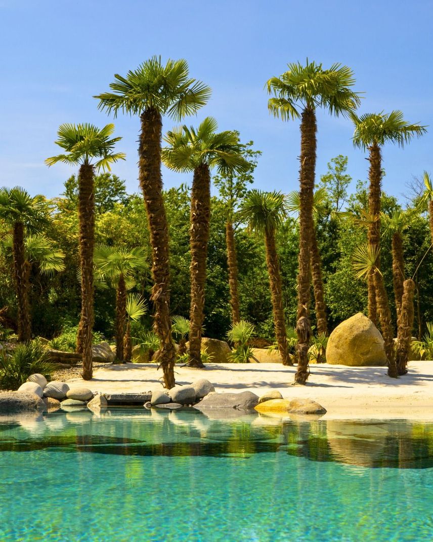 Piscina in stile resort tropicale con acqua turchese, palme, rocce e un cielo azzurro brillante.