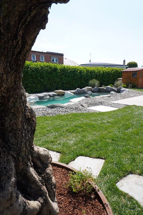 Piscina e vasca idromassaggio in giardino, accanto a un prato verde, pavimentazione in pietra e una siepe, il tutto immerso nella luce del giorno.