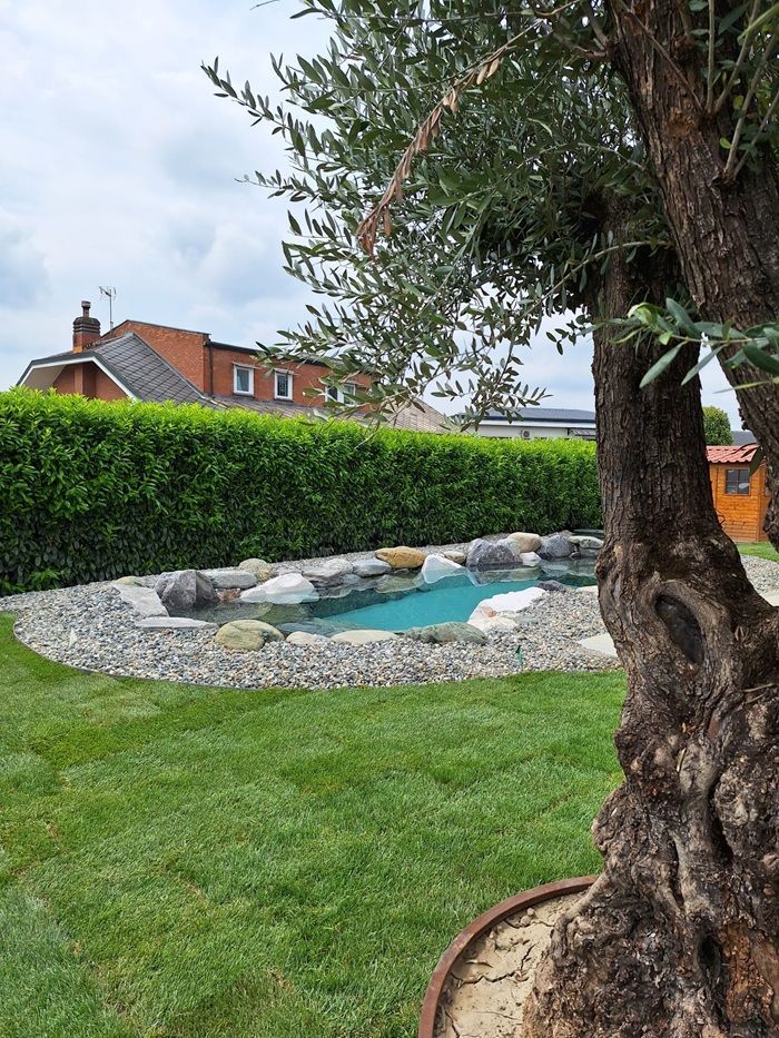 piscina naturale modello Mediterraneo di Rocks Design