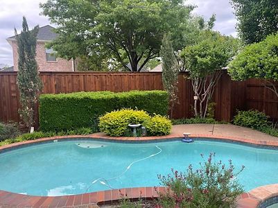 New Fences - Wood