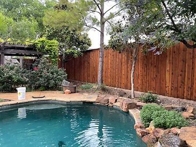 New Fences - Wood