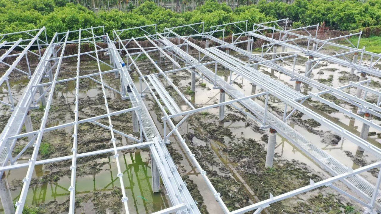 東田國際,太陽能領導品牌,節能,太陽能,綠電,太陽能發電,綠能,一站式整合服務,被動收入,屋頂出租,免費建置太陽能,太陽光電,再生能源,太陽能遮陽棚,太陽能隔熱棚,太陽能屋頂,碳權