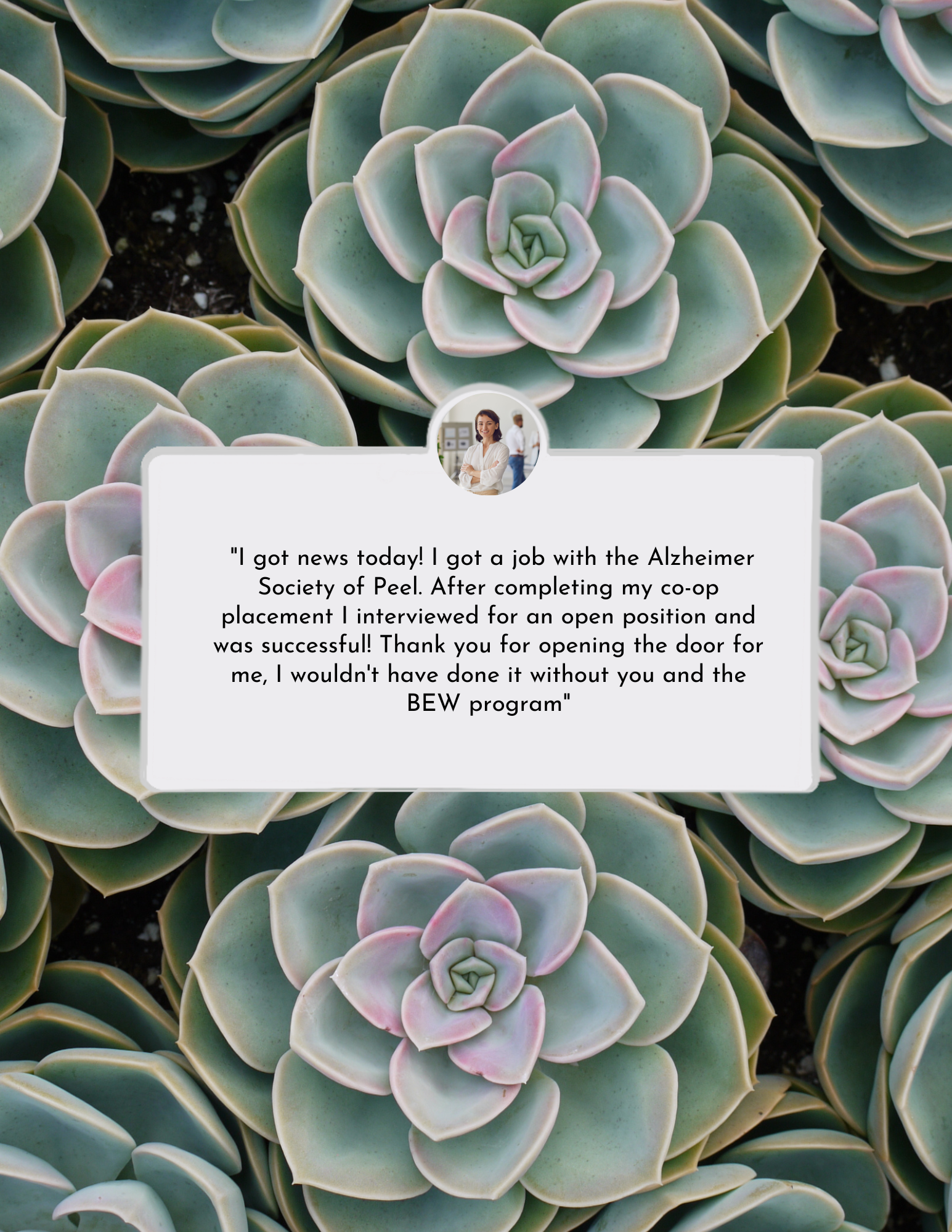 A bunch of succulent plants with a card in the middle of them.