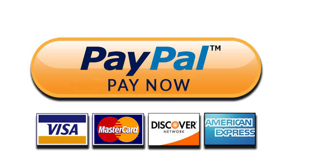 Paypal pay now button with visa mastercard discover and american express logos