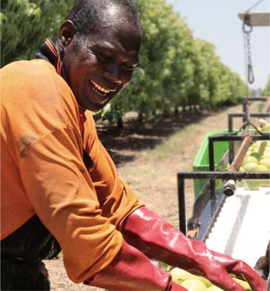A man wearing red gloves is smiling while working in a field