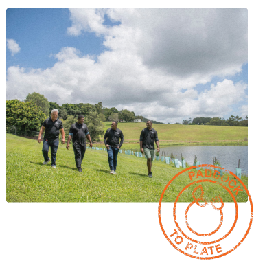 Four men in green RWM shirts walk along a grassy hillside near a pond, surrounded by rolling green fields and young tree plantings.