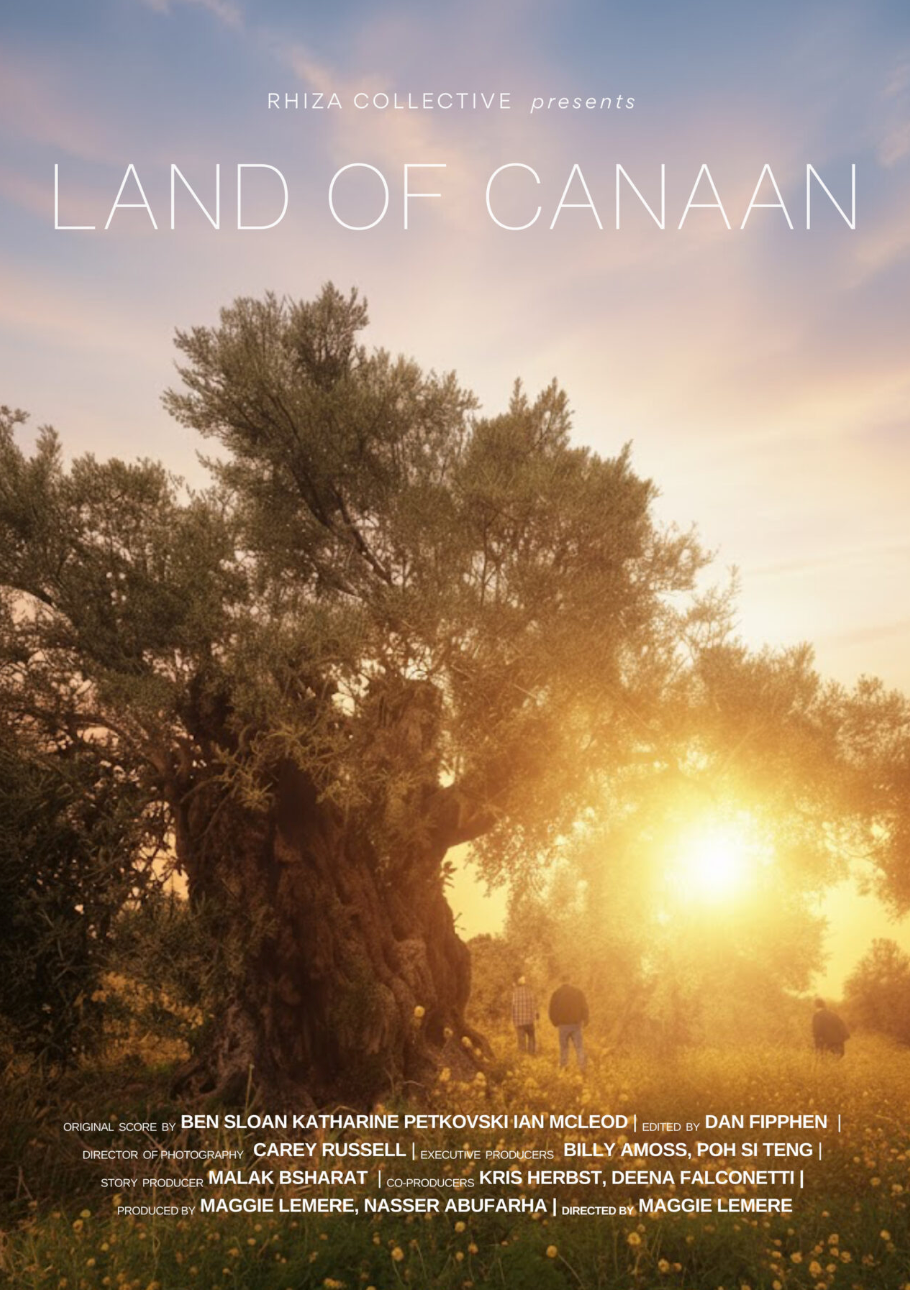 Sunlit tree at sunset with title text “Land of Canaan” over a hazy landscape background