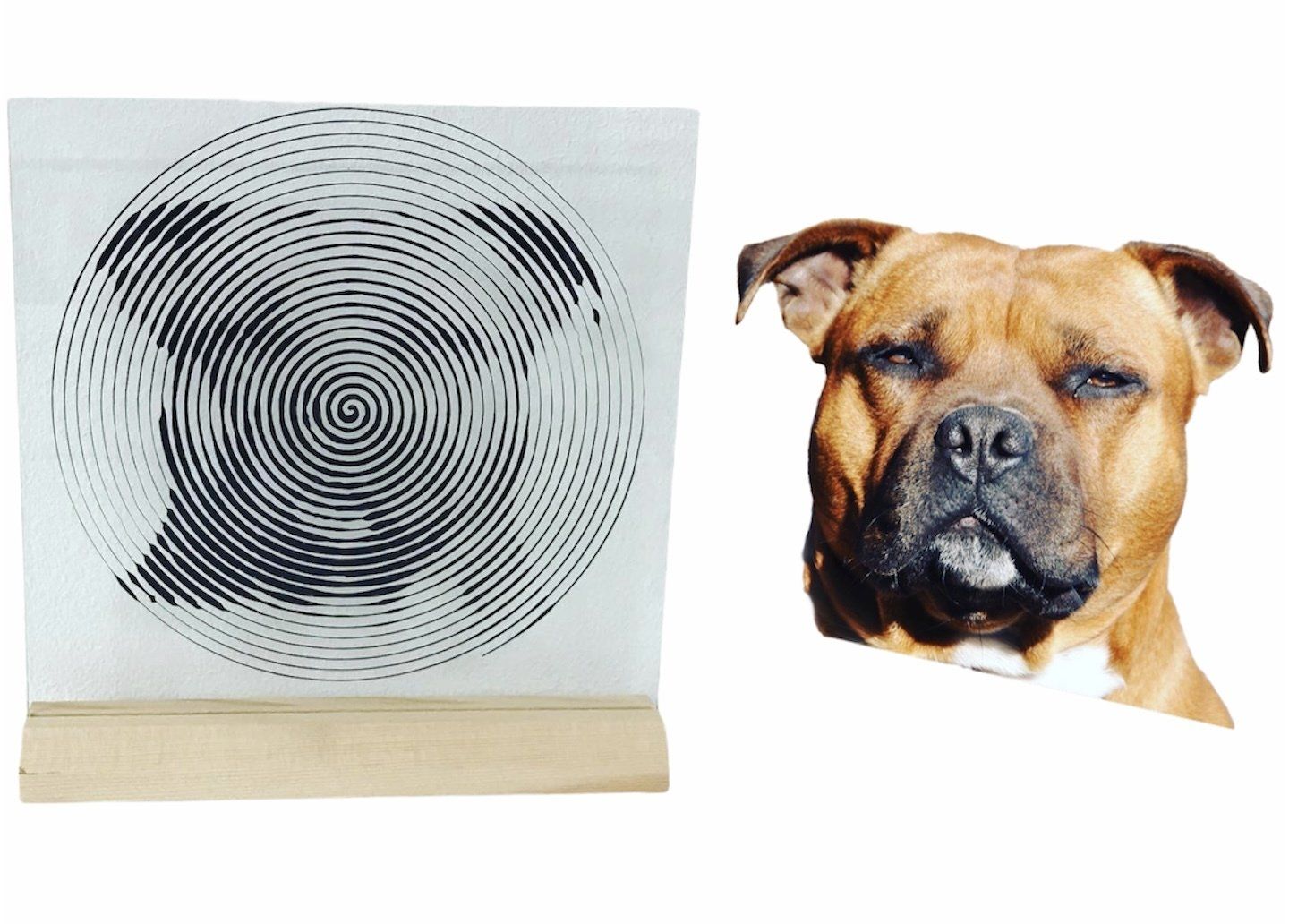Vingerafdrukkunst van een hond op een standaard naast een realistische uitsnede van een hondengezicht.
