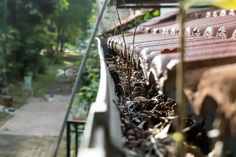 gutter cleaning
