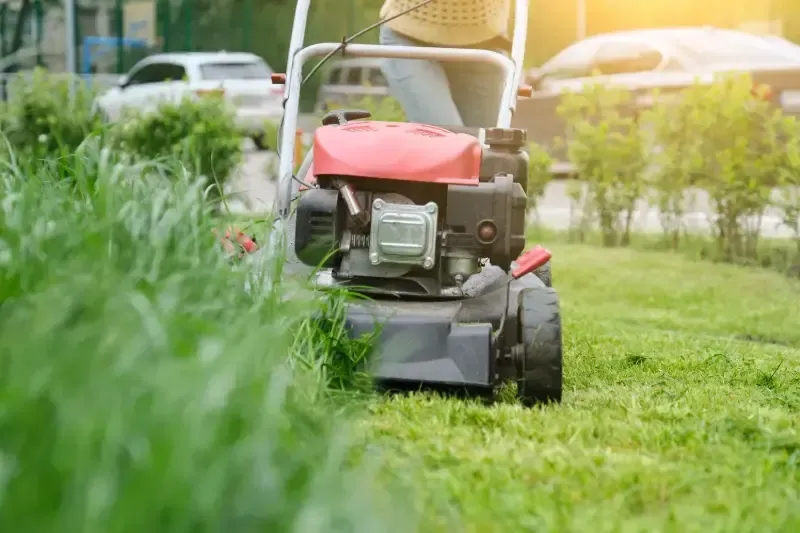 lawn care