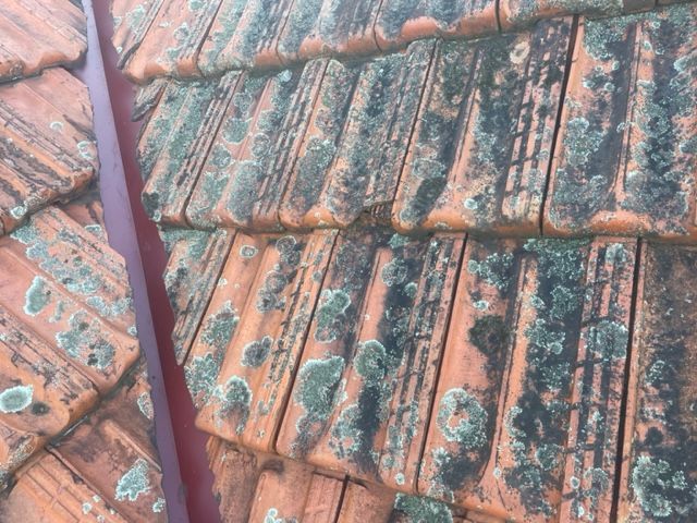 Old House Roof — SRV Roofing in Maroochy River, QLD