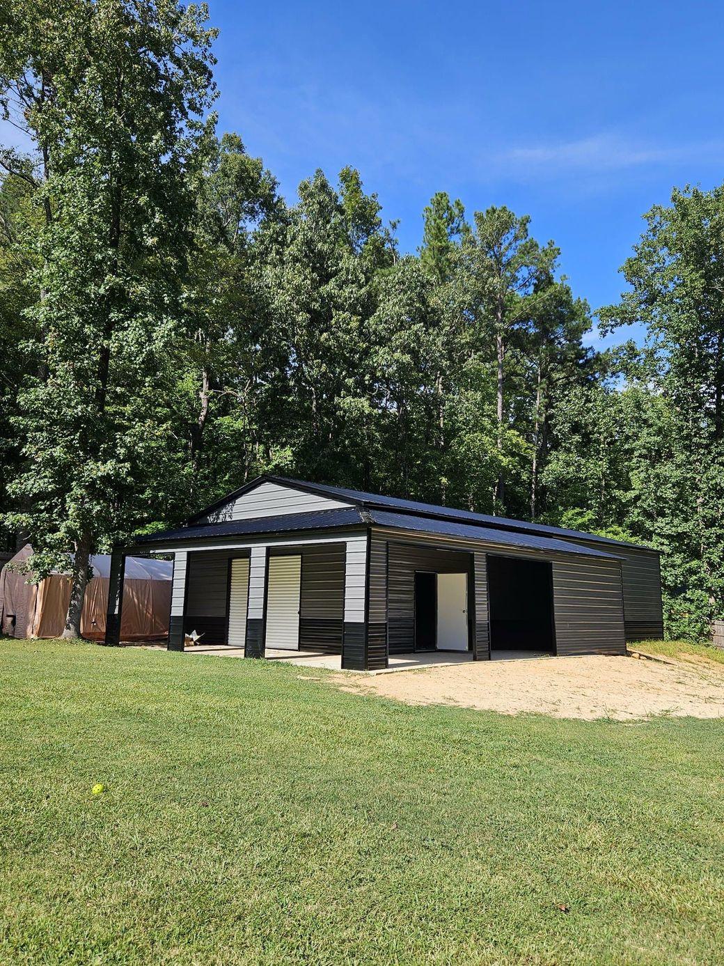 Small modern cabin with dark siding in a grassy yard, surrounded by trees under a clear blue sky