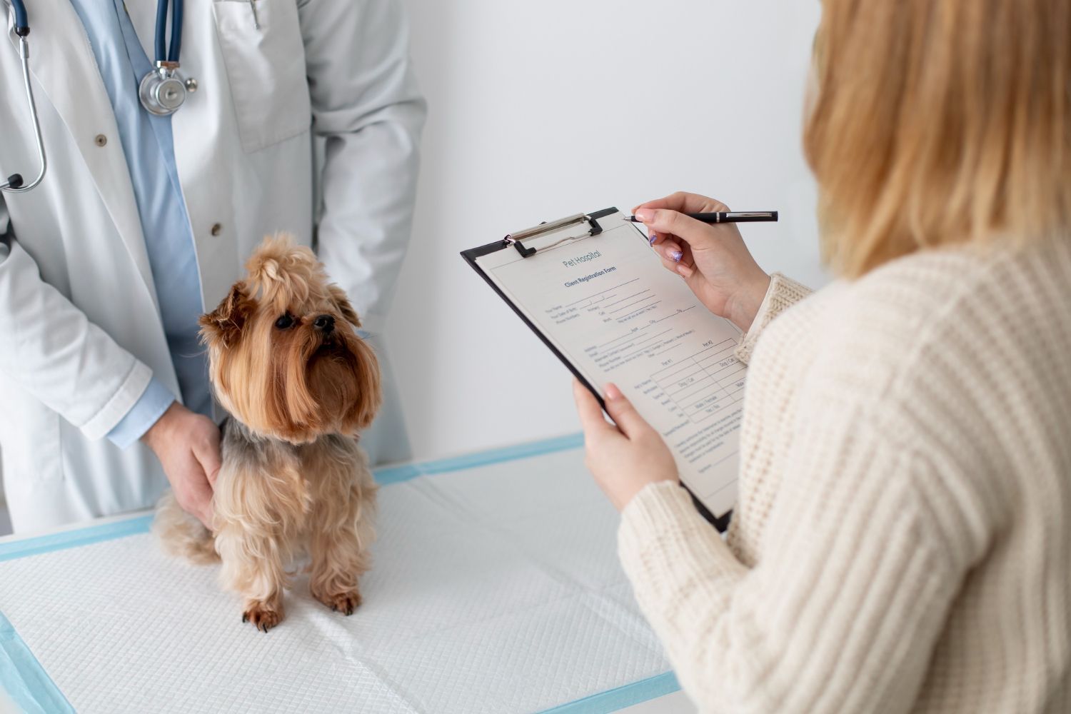 Veterinarian examining a small dog while owner fills out paperwork on a clipboard.