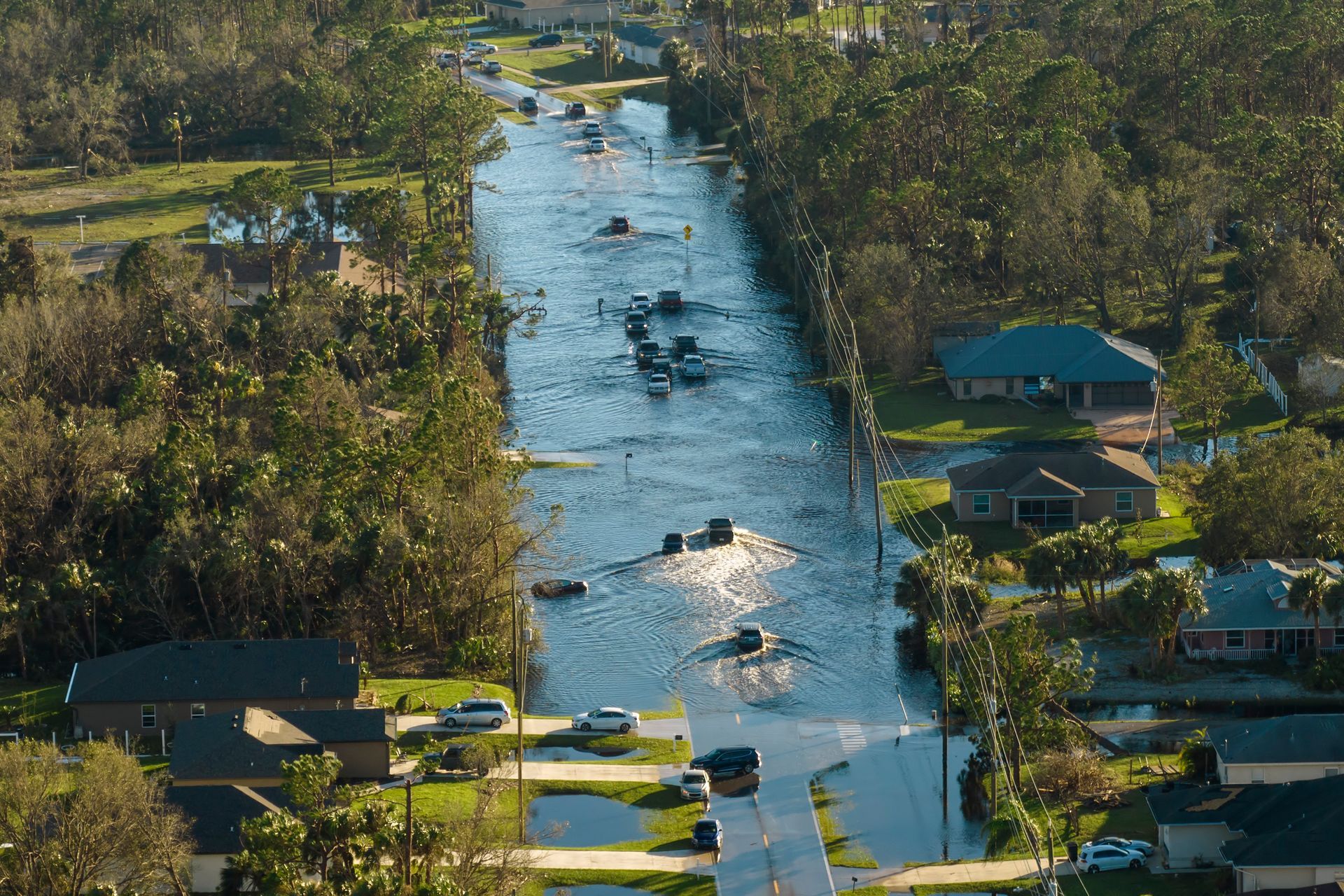 Flooded street with cars, water up to roofs of some vehicles, trees and houses on either side.