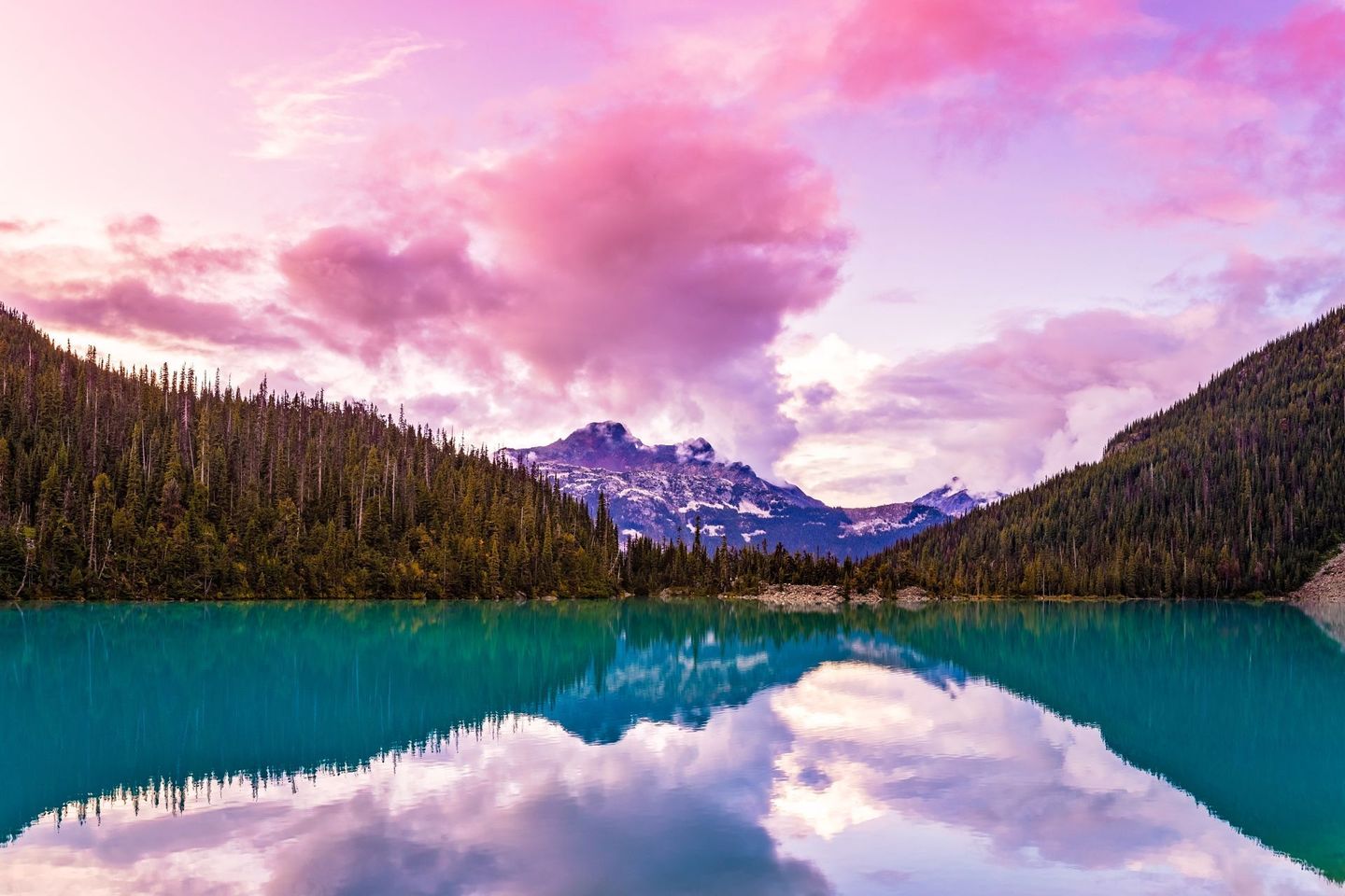 Azure lake reflects pink clouds, evergreen trees, and snow-capped mountains.