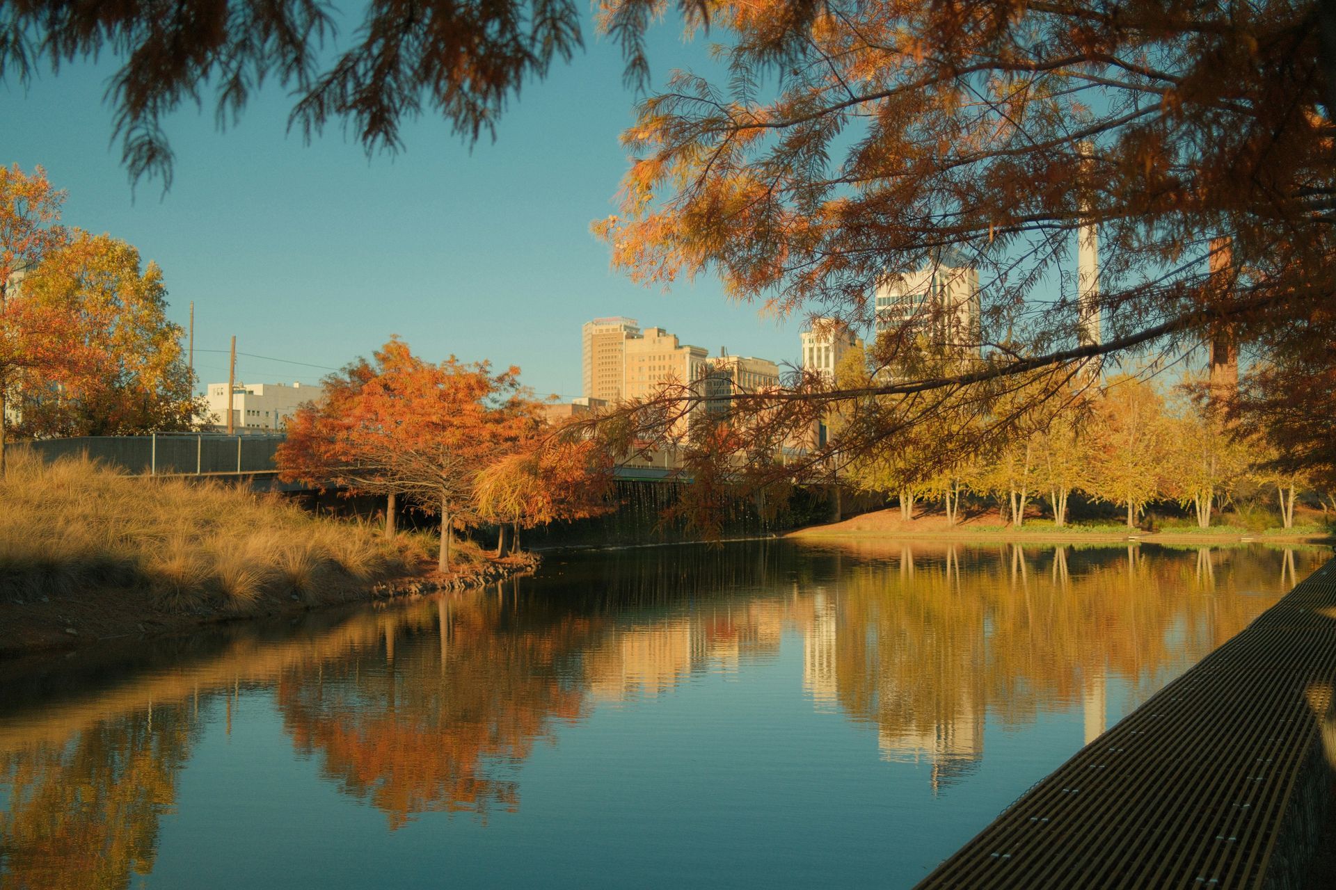 A lake in a park with trees and buildings in the background
