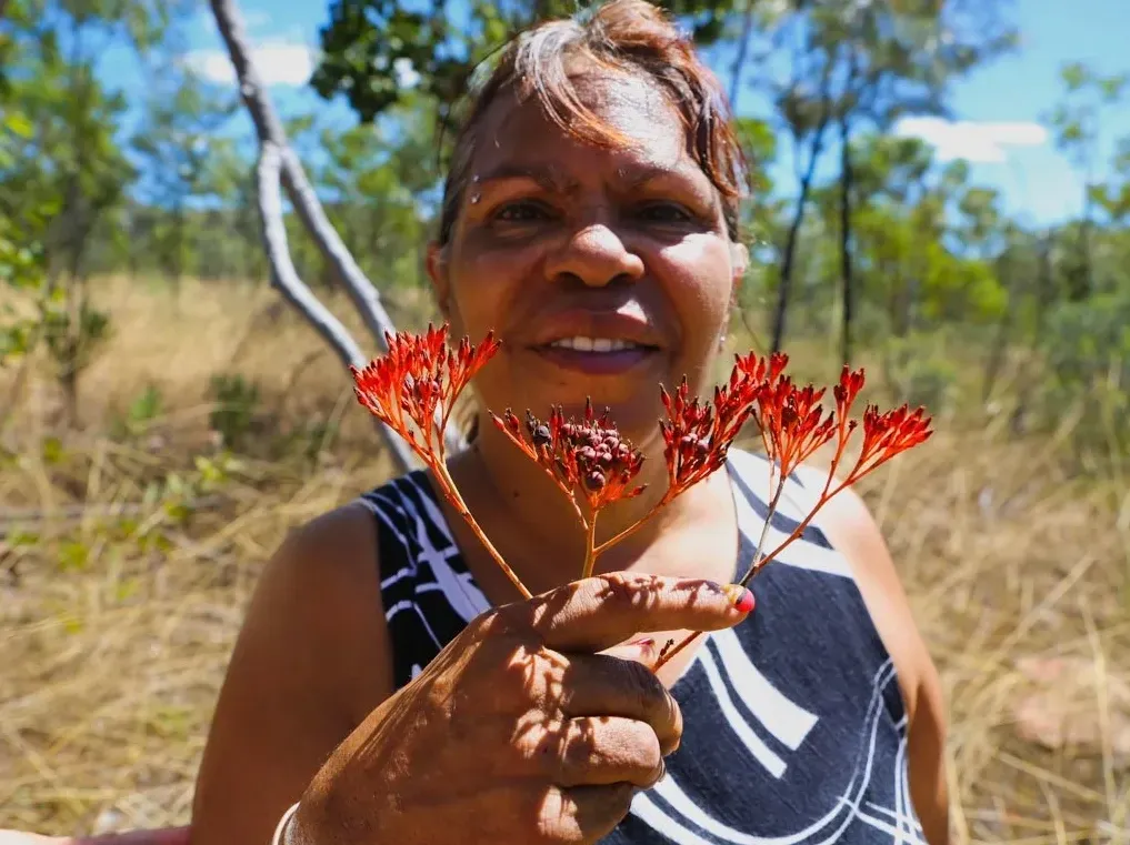 An Indigenous Tour Guide Holding a Kangaroo Paw — Kakadu Billabong Safari Camp in Kakadu, NT