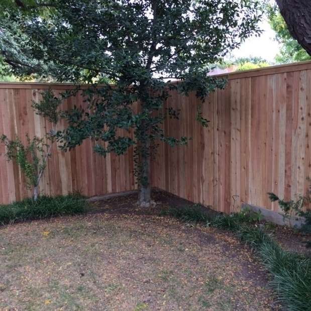 Wooden privacy fence around a tree in a yard with grass.