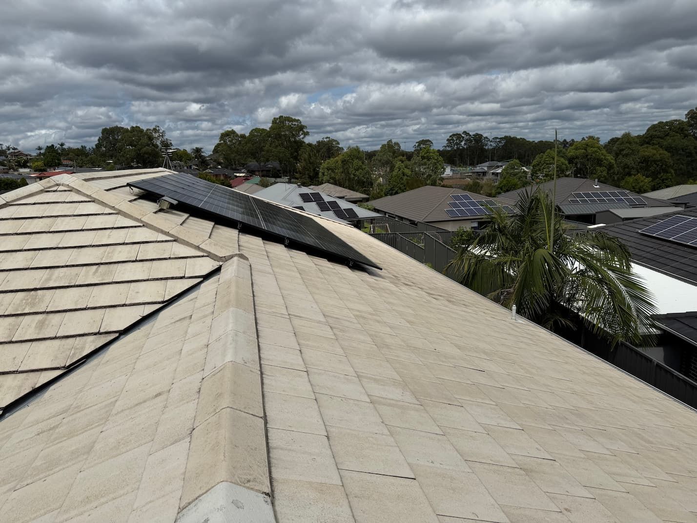 After a roof was cleaned