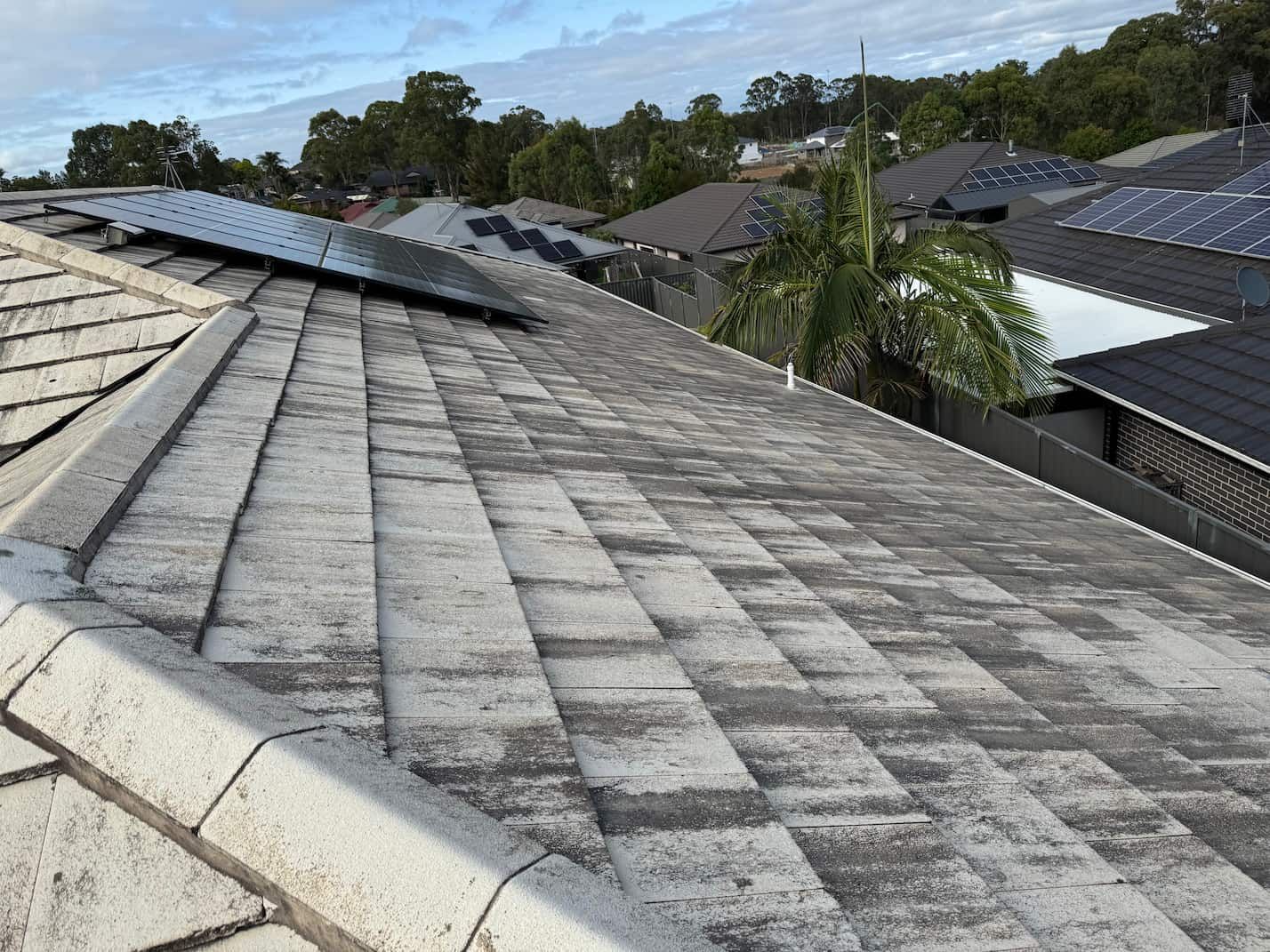 Before a roof was cleaned