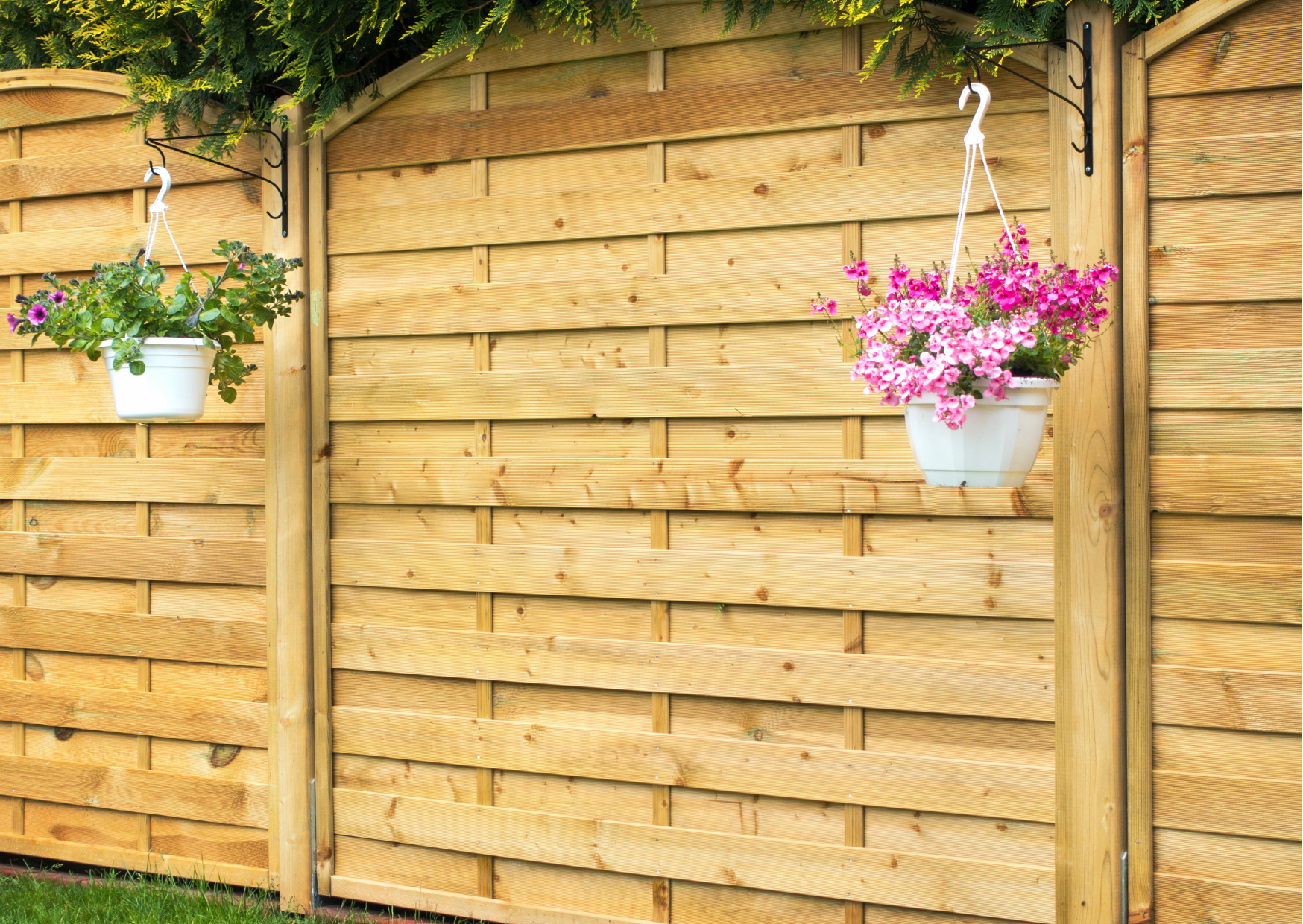 Wooden fencing Belfast