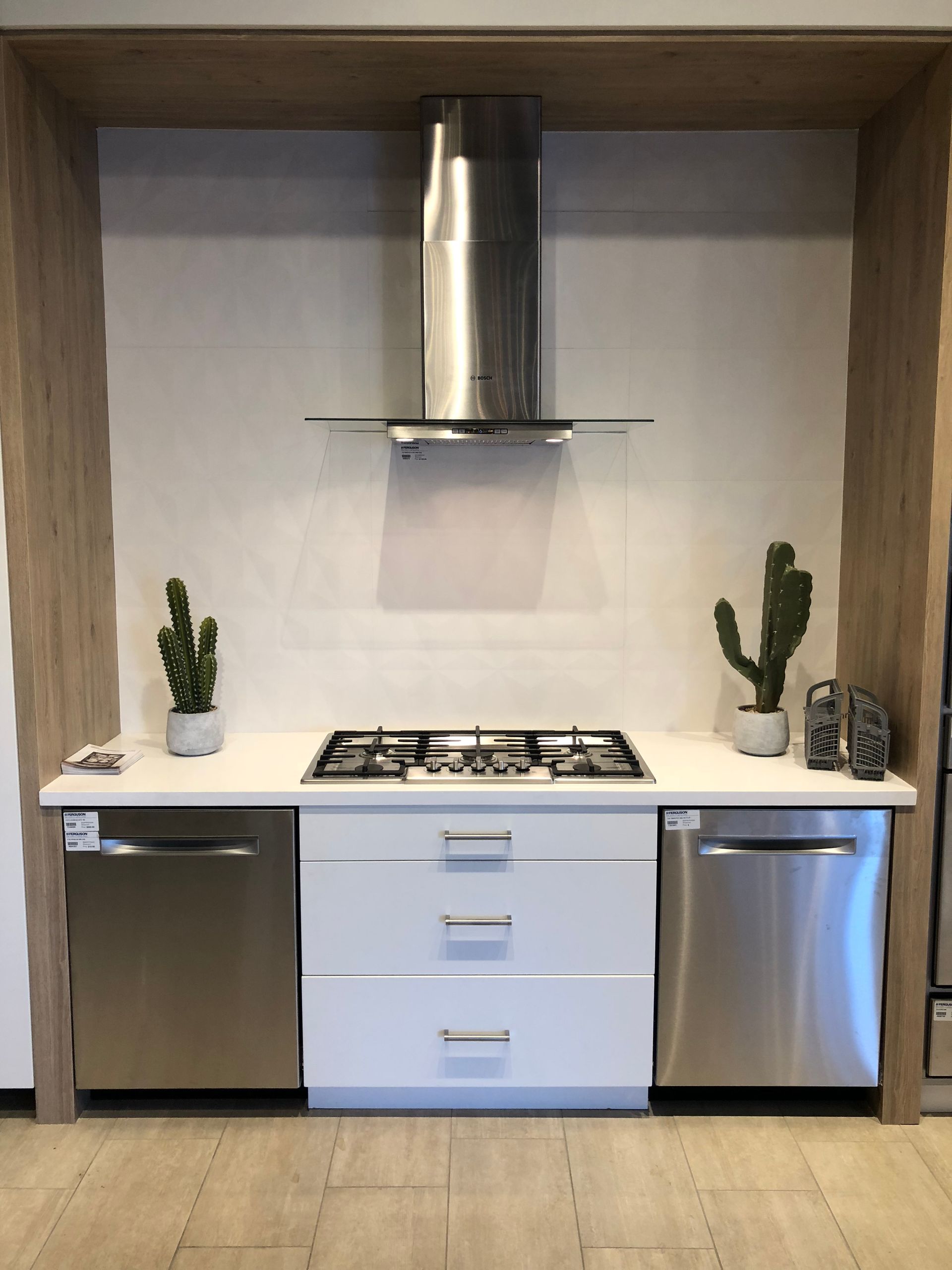 Kitchen appliance display with stovetop, range hood, dishwasher, and decorative cacti.