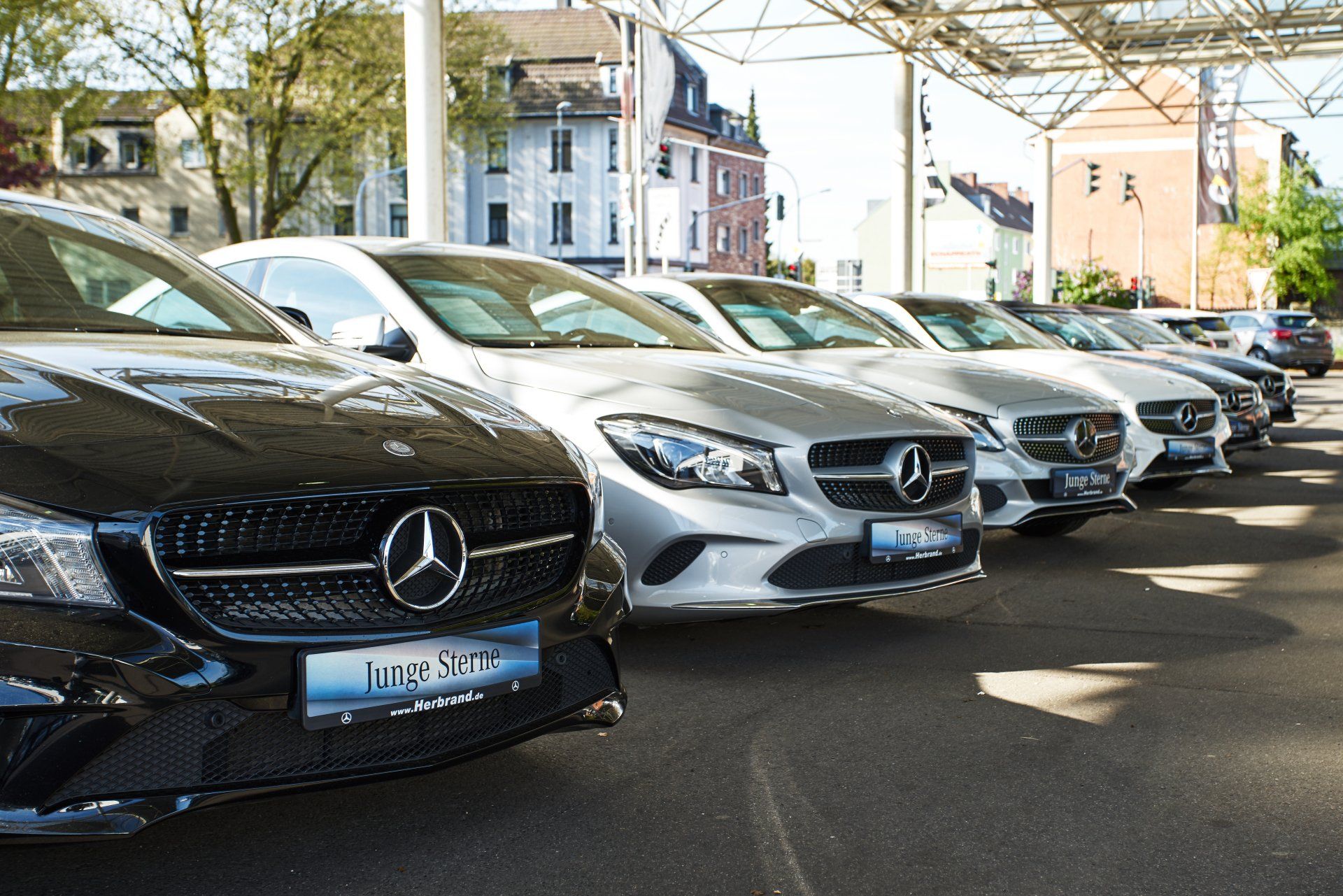 Row of parked Mercedes cars on a sunny street outside houses and trees