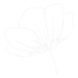 A black and white drawing of a flower on a white background.