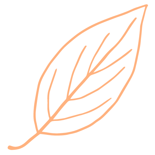 A line drawing of a leaf with a long stem on a white background.