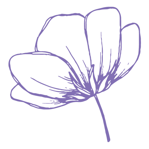 A purple flower with a stem and leaves on a white background.