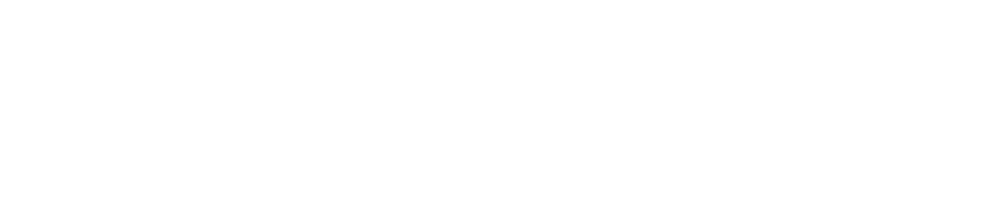 Shine Wash Solutions logo and boarder