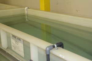 White tank labeled 